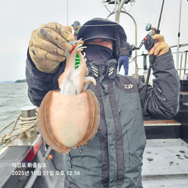 ꫛꫀꪝ✧‧˚ 태안 마검포 新출항호 .• _˚☀₊_사진_20251021_8.jpg