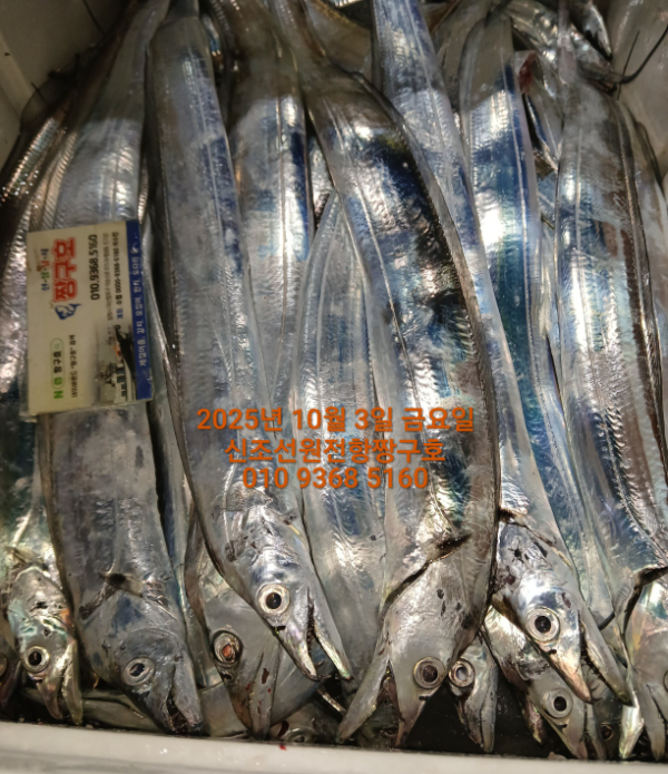 KakaoTalk_20251003_041329807_08.jpg