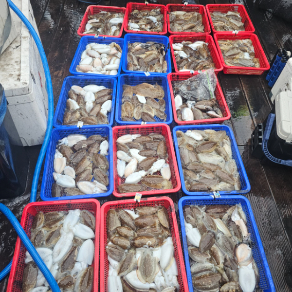 마검포 대한호(VIP)_사진_20251006_5.jpg