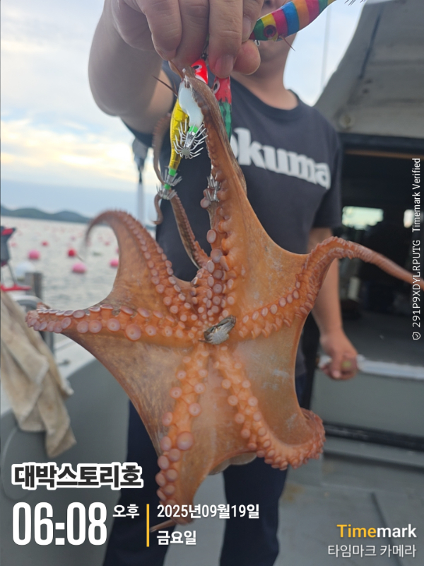 2025-09-19 06.08.36__(대박스토리호).jpg