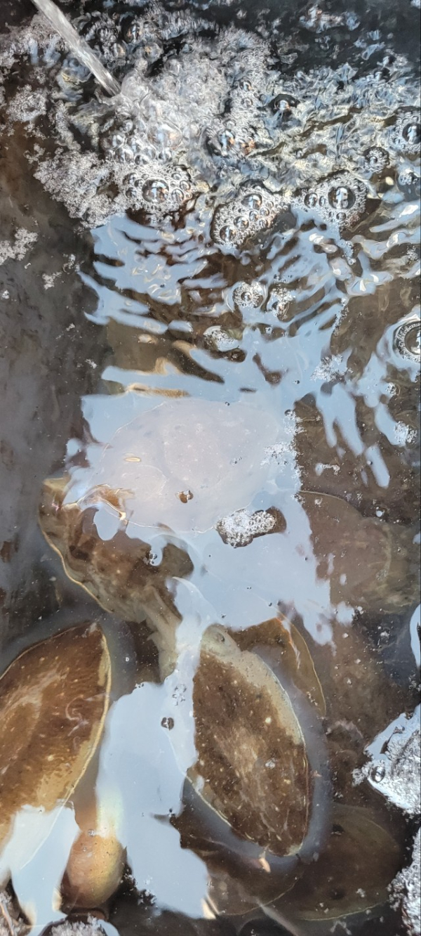 예지퀸호 농어외수질&어초낚시 경기인천권_사진_20251026_6.jpg