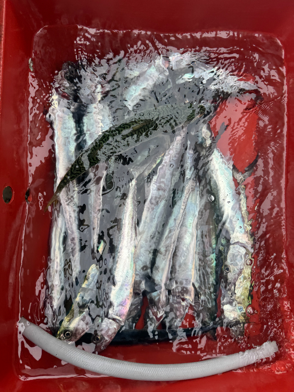 1760152837271.jpg