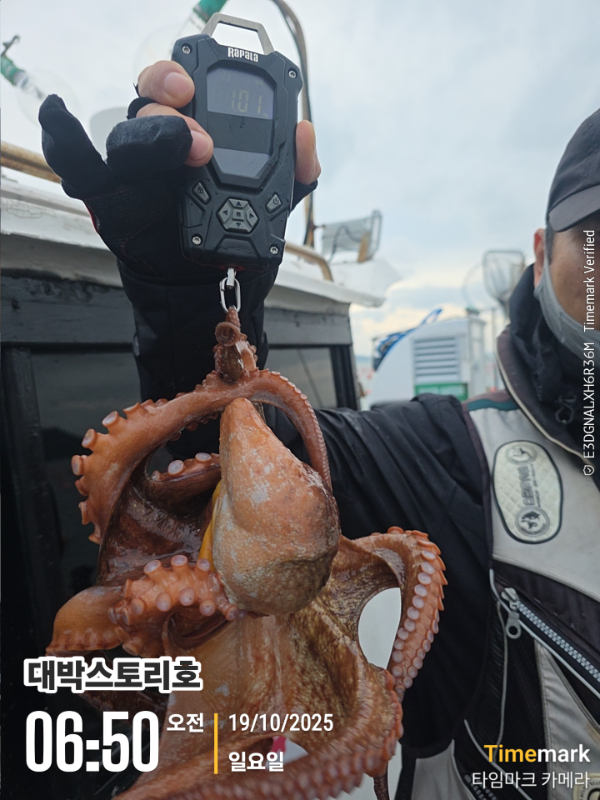 2025-10-19 06.50.36__(대박스토리호).jpg