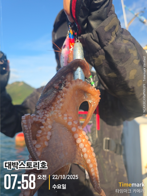 2025-10-22 07.58.44__(대박스토리호).jpg