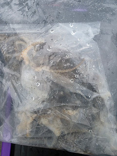 인천쭈꾸미낚시 (13).jpg