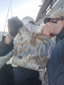 인천쭈꾸미낚시 (9).jpg