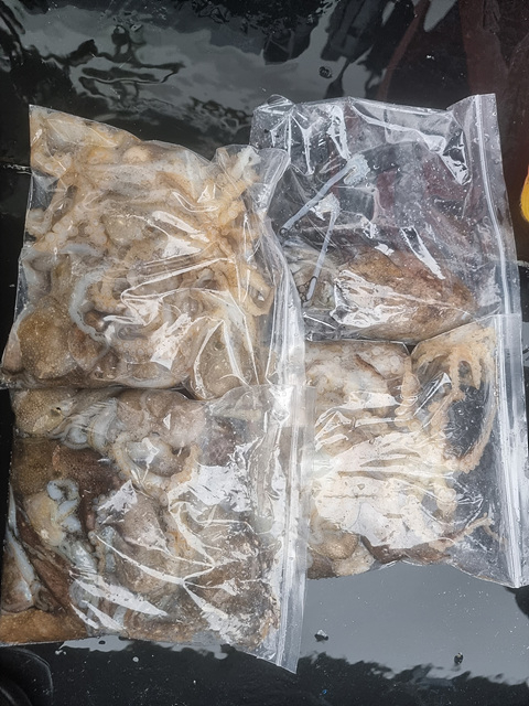 인천쭈꾸미낚시 (15).jpg