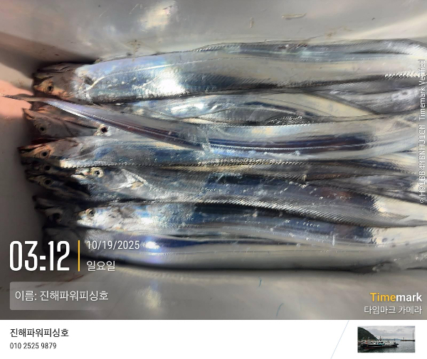 2025-10-19 03.12.17_(이름-진해파워피싱호).jpeg