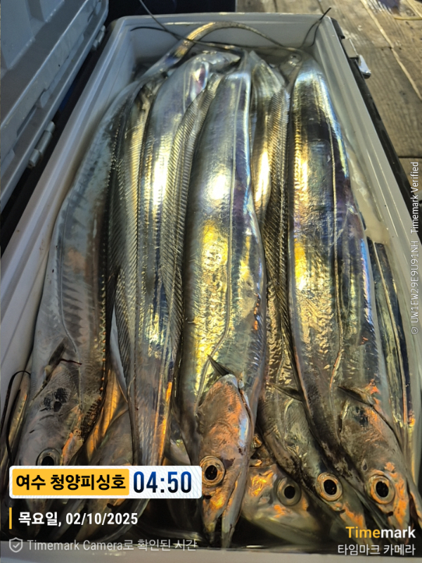 2025-10-02 04.50.46__(제목-여수 청양피싱호).jpg
