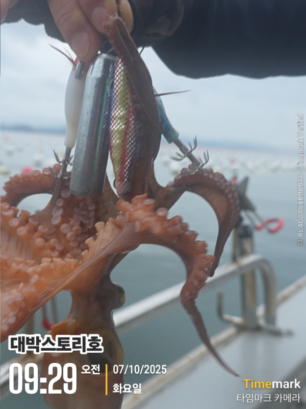2025-10-07 09.29.19__(대박스토리호).jpg