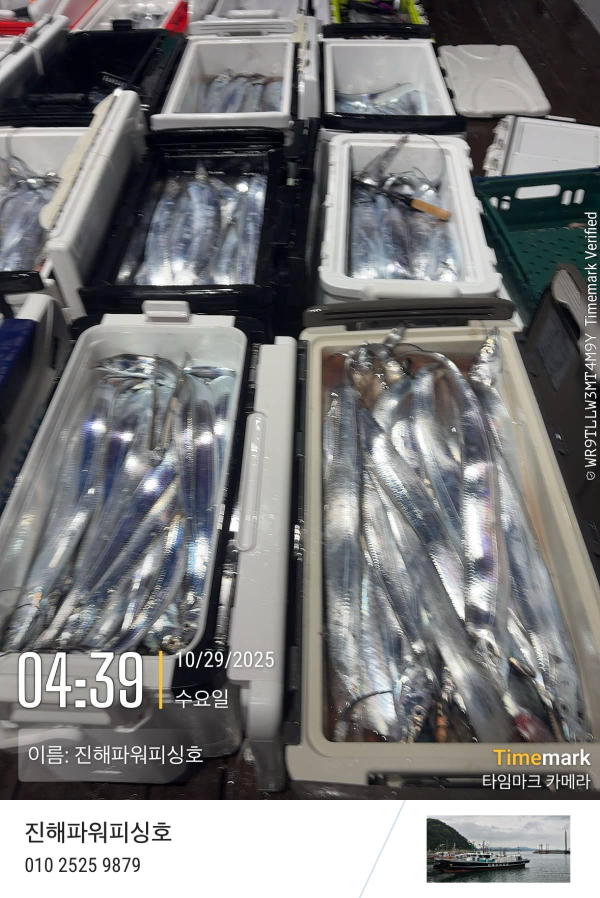 2025-10-29 04.39.12_(이름-진해파워피싱호).jpeg