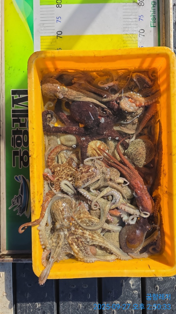 궁항레저_사진_20250927_1.jpg
