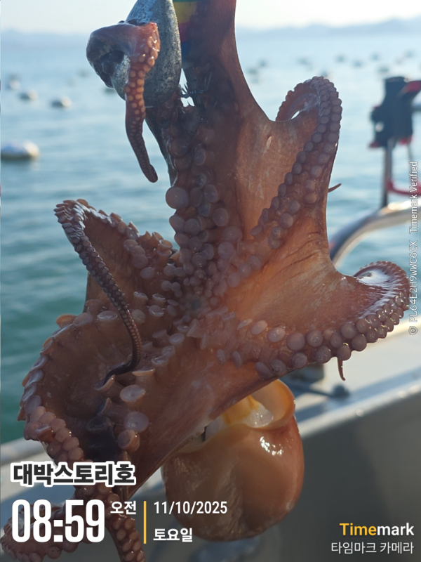 2025-10-11 08.59.28__(대박스토리호).jpg