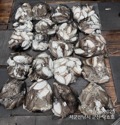 군산 선상낚시, 바다낚시 출조 전문 ☆서군산낚시☆_사진_20251026_2.jpg