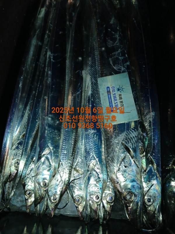 KakaoTalk_20251007_044104424_05.jpg