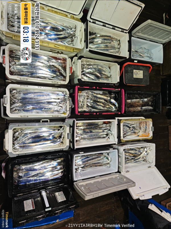 2025-10-18 03.18.13_대한민국_(제목-뉴블루마린호)_(예약전화 010 8924 3131).jpg