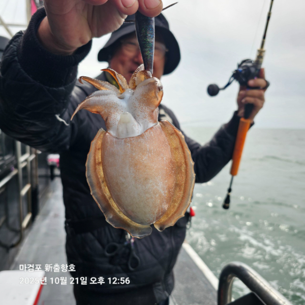 ꫛꫀꪝ✧‧˚ 태안 마검포 新출항호 .• _˚☀₊_사진_20251021_9.jpg