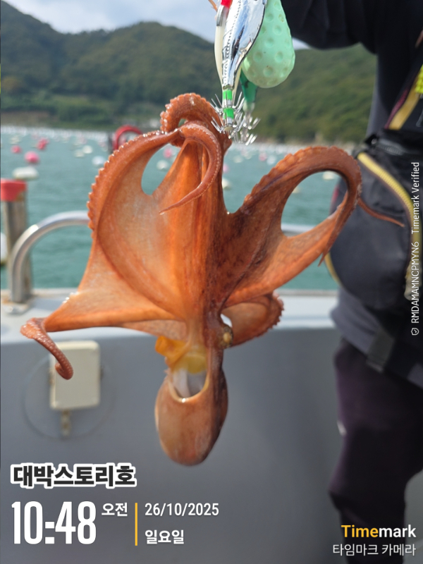 2025-10-26 10.48.30__(대박스토리호).jpg