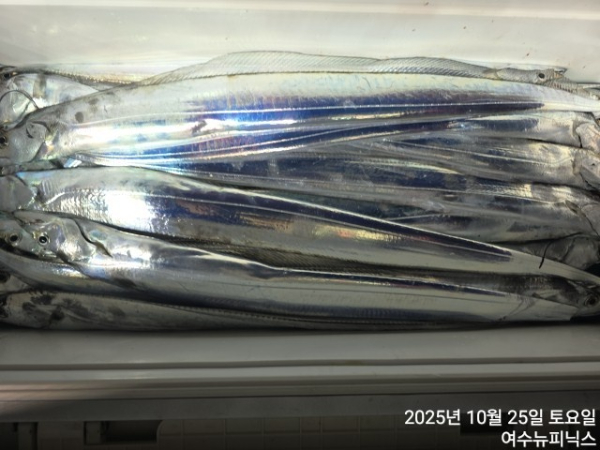 10월25일갈치 (36).jpg