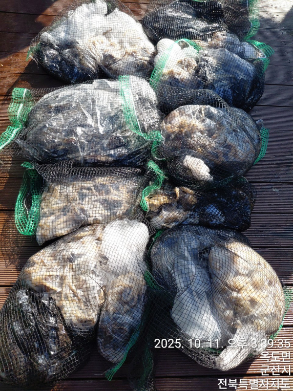 바다의 전설 부평25_사진_20251011_6.jpeg