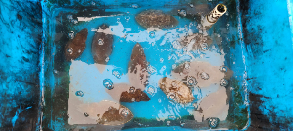 예지퀸호 농어외수질&어초낚시 경기인천권_사진_20251011_11.jpg