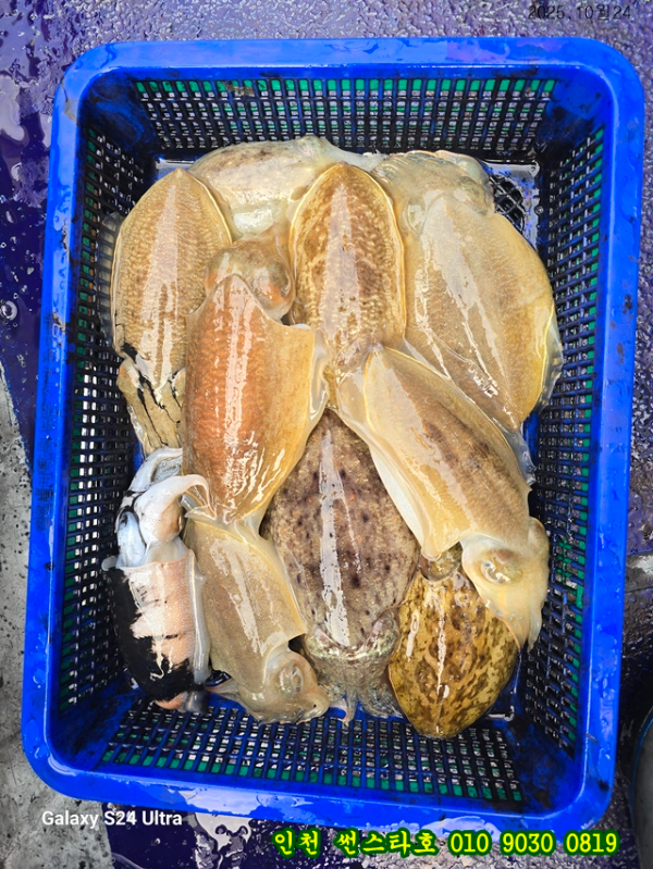 10월24 썬 (10).jpg