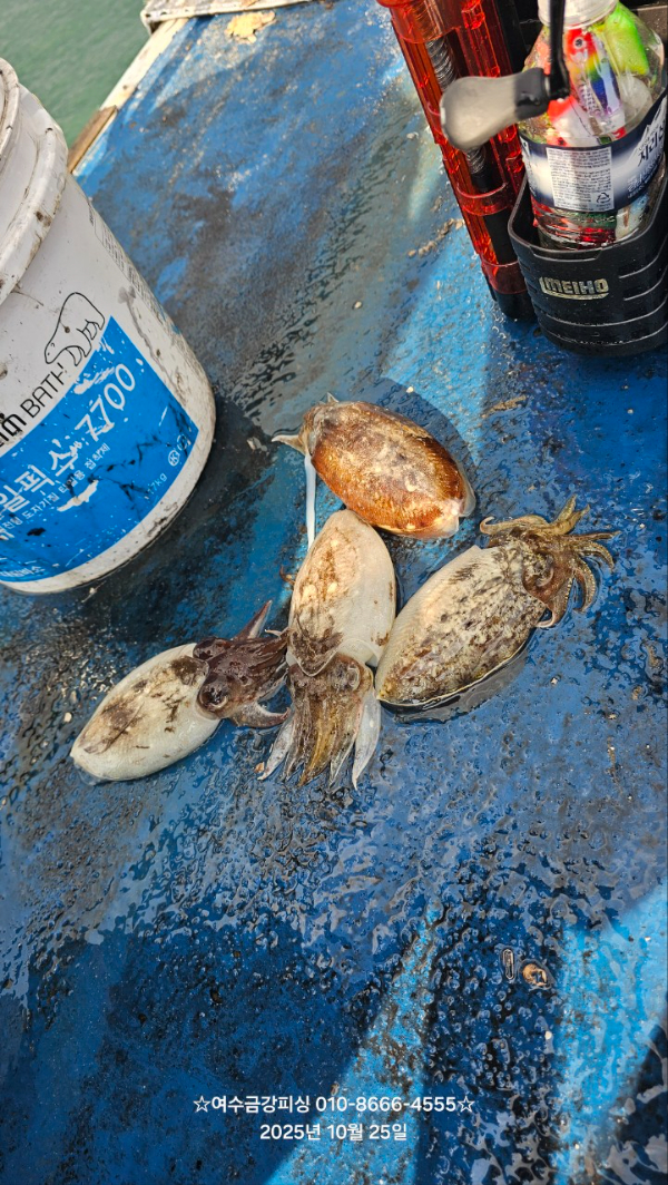 여수금강피싱_사진_20251025_16.jpg