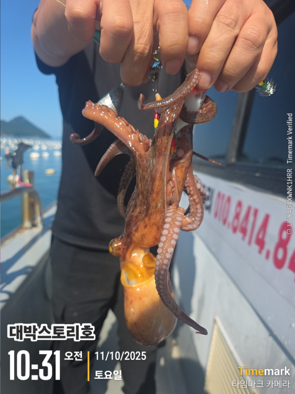 2025-10-11 10.32.02__(대박스토리호).jpg