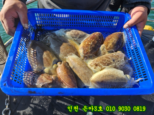 10월24 3호 (25).jpg