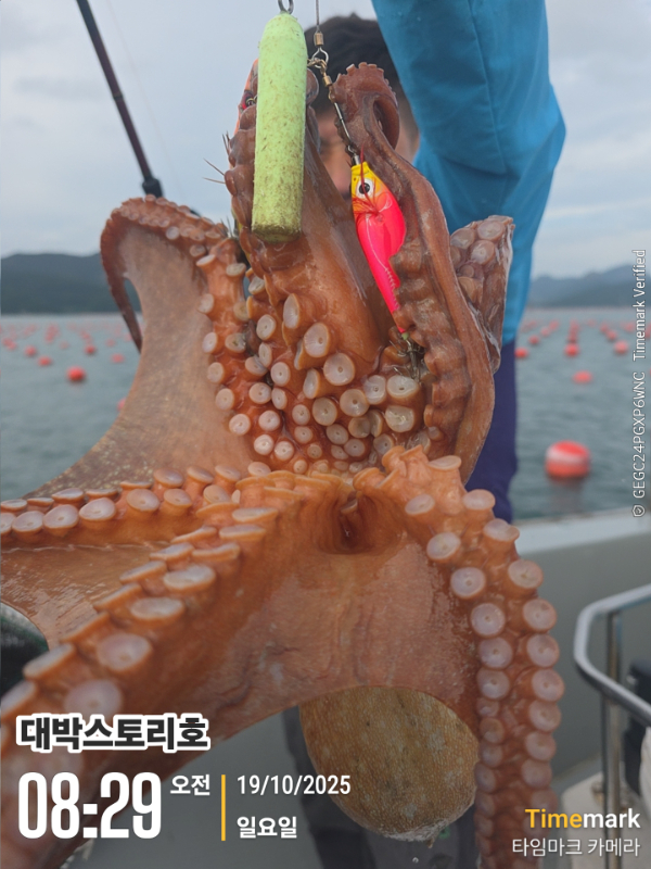 2025-10-19 08.29.51__(대박스토리호).jpg