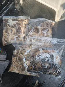 인천쭈꾸미낚시 (5).jpg