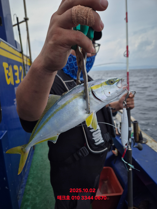 KakaoTalk_20251002_194826519.jpg
