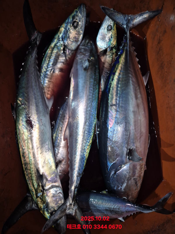KakaoTalk_20251002_194826519_17.jpg