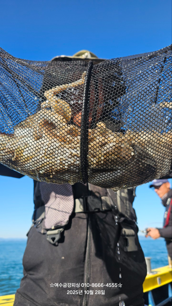 여수금강피싱_사진_20251028_10.jpg