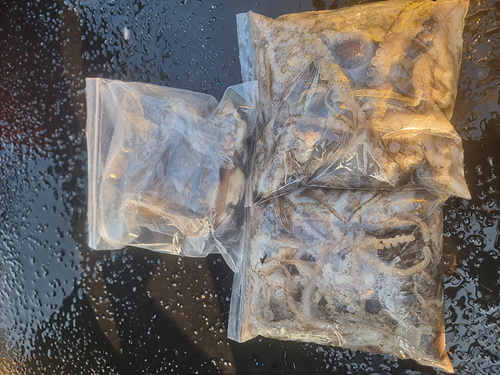 인천쭈꾸미낚시 (14).jpg