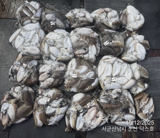 군산 선상낚시, 바다낚시 출조 전문 ☆서군산낚시☆_사진_20251012_2.jpg
