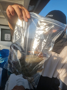 인천쭈꾸미낚시 (11).jpg