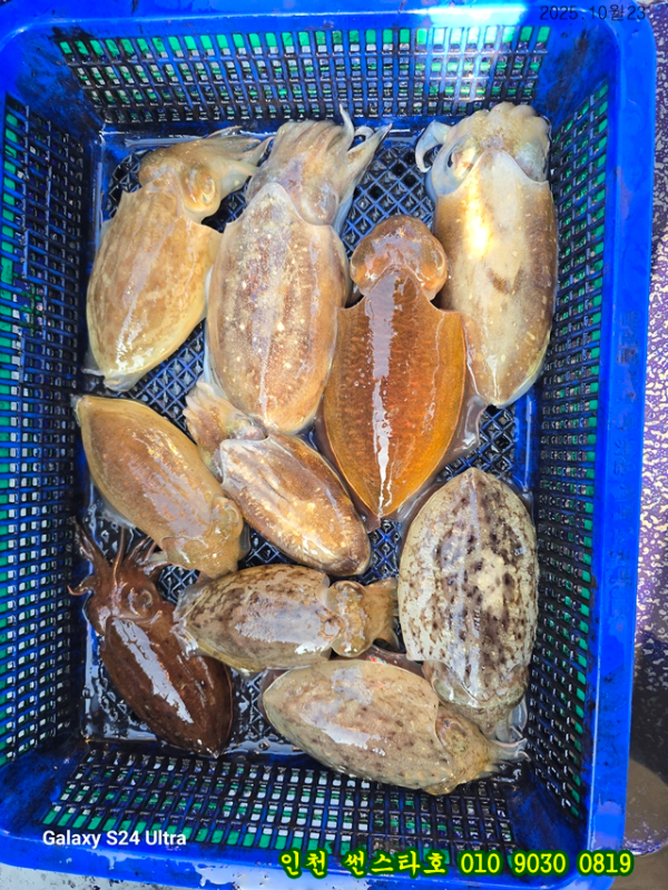 10월23 썬 (11).jpg