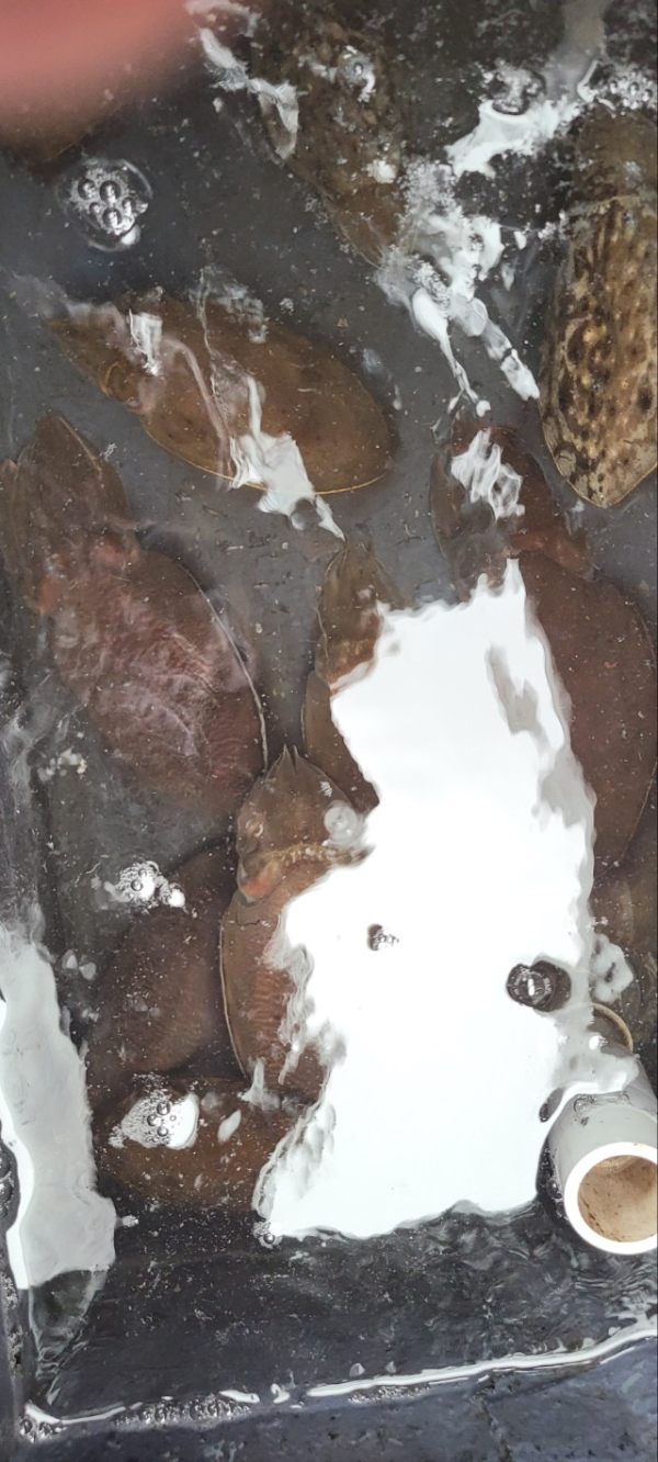 예지퀸호 농어외수질&어초낚시 경기인천권_사진_20251004_12.jpg