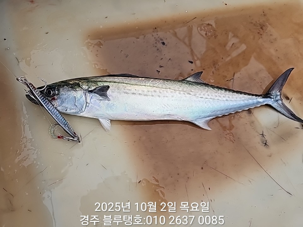 20251002_164322.jpg