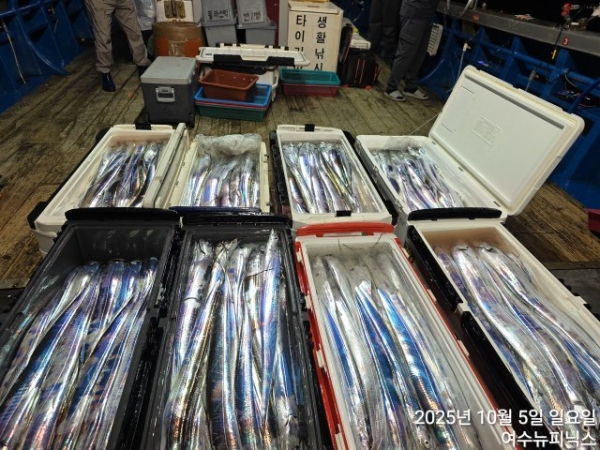 10월5일갈치 (52).jpg