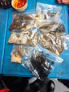 인천쭈꾸미낚시 (13).jpg