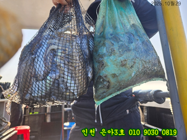 10월29 3호 (5).jpg