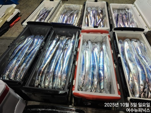 10월5일갈치 (54).jpg