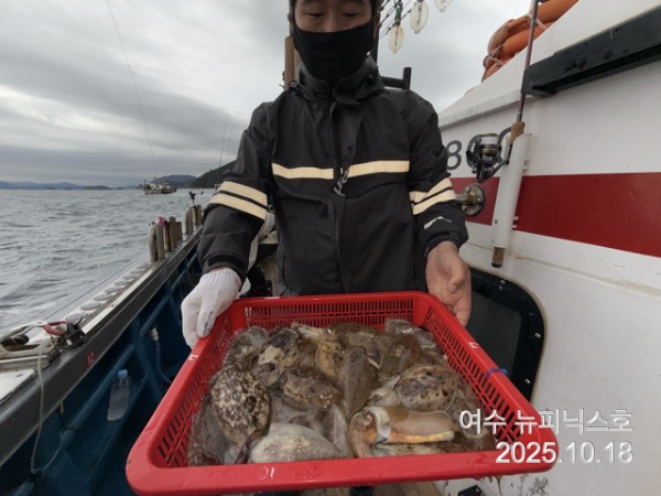 10월18일갑오징어 (25).jpg