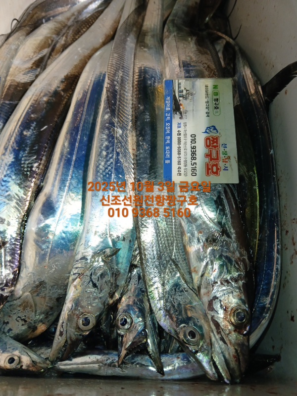 KakaoTalk_20251003_041329807_06.jpg