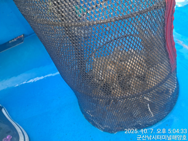 KakaoTalk_20251007_171959369_04.jpg