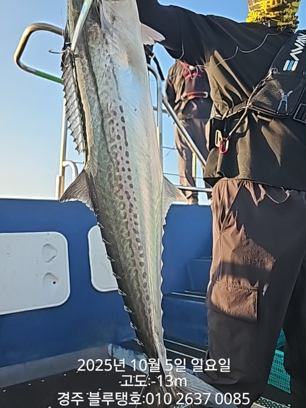 20251005_071425.jpg