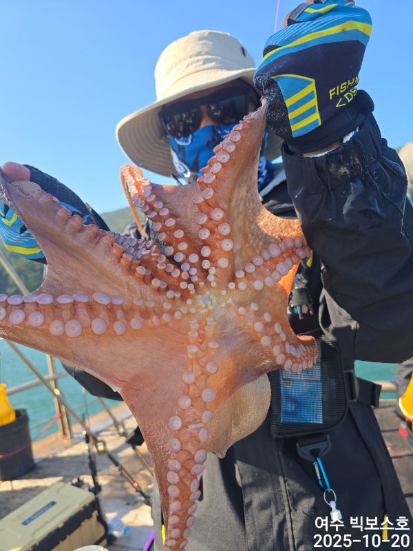 ♡ 여수 빅보스 ♡문어,갑오징어,쭈꾸미,타이라바(참돔)_사진_20251020_7.jpg