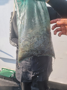 인천쭈꾸미낚시 (9).jpg